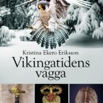 Vikingatidens-vagga