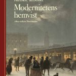 Modernitetens-hemvist-2